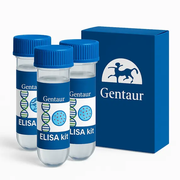 Mouse IgM ELISA Kit 1 Kit (96 Wells) - 1 Kit
