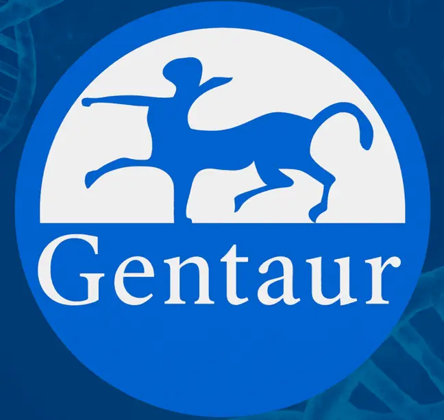 p75 NGF Receptor Polyclonal Antibody, Cy3 Conjugated - 100 µL