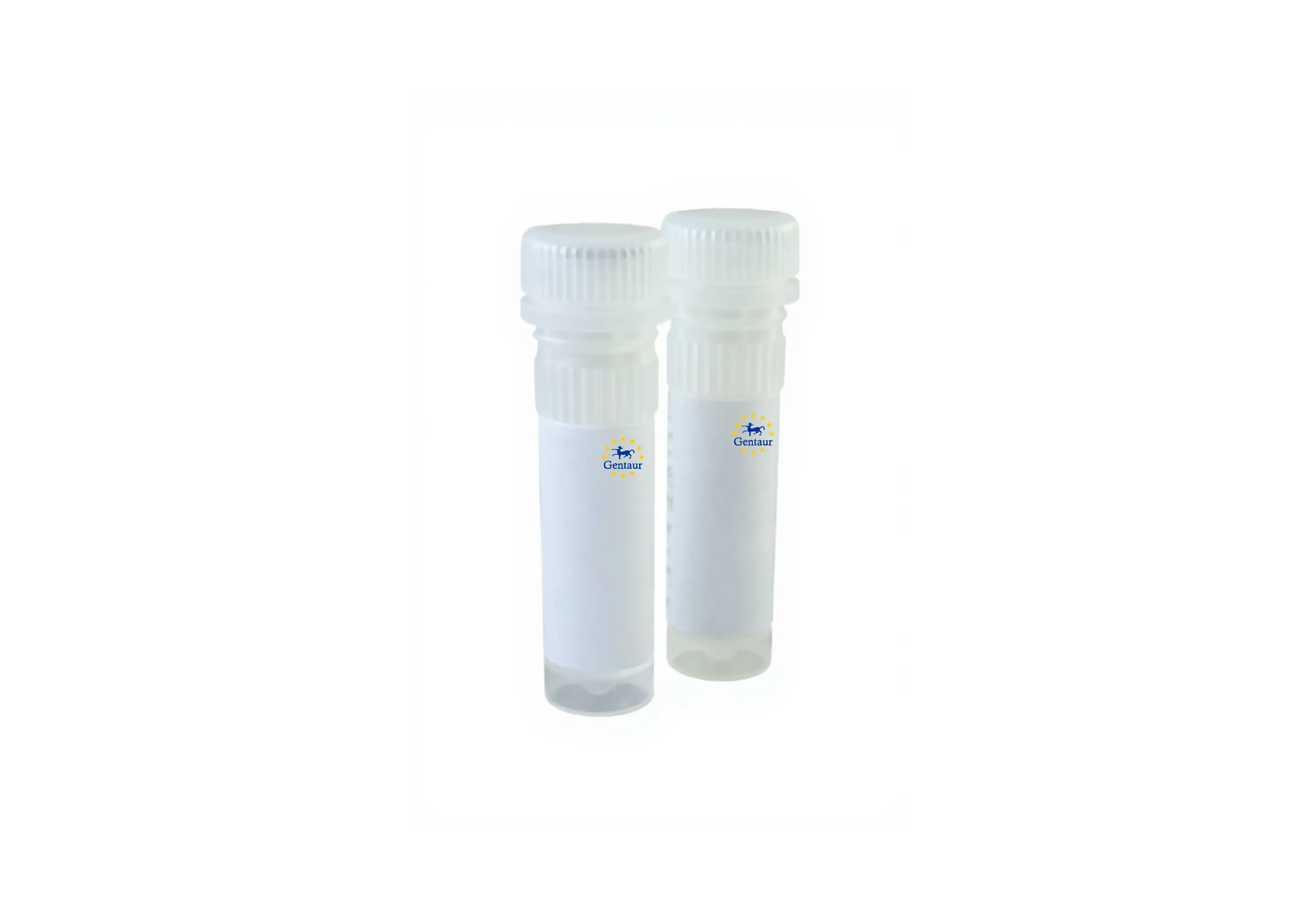 probe no rox qpcr kit 500 x 20 l reactions 5 x 1ml