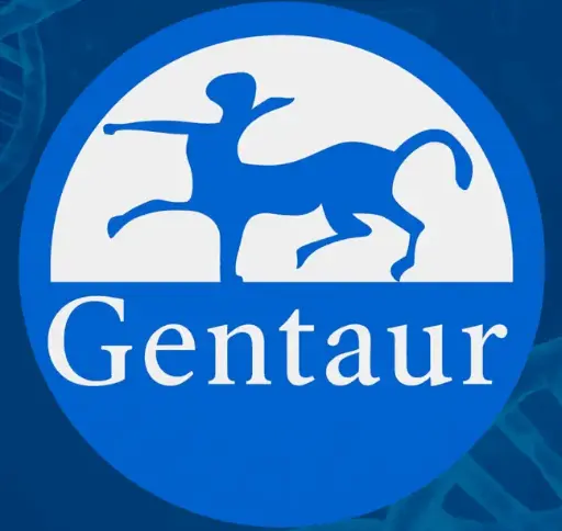 [IB09620] XIAP (Human) ELISA - 96 Determinations